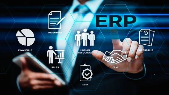 fungsi aplikasi ERP